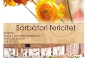 Restaurantul EUROPA felicită cu ocazia zilei de 8 Martie!