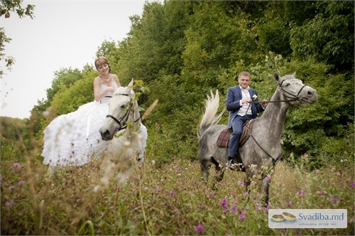 Фотограф Карина Филип

Fotograf
