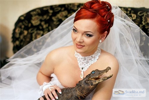 Мой ласковый и нежный зверь